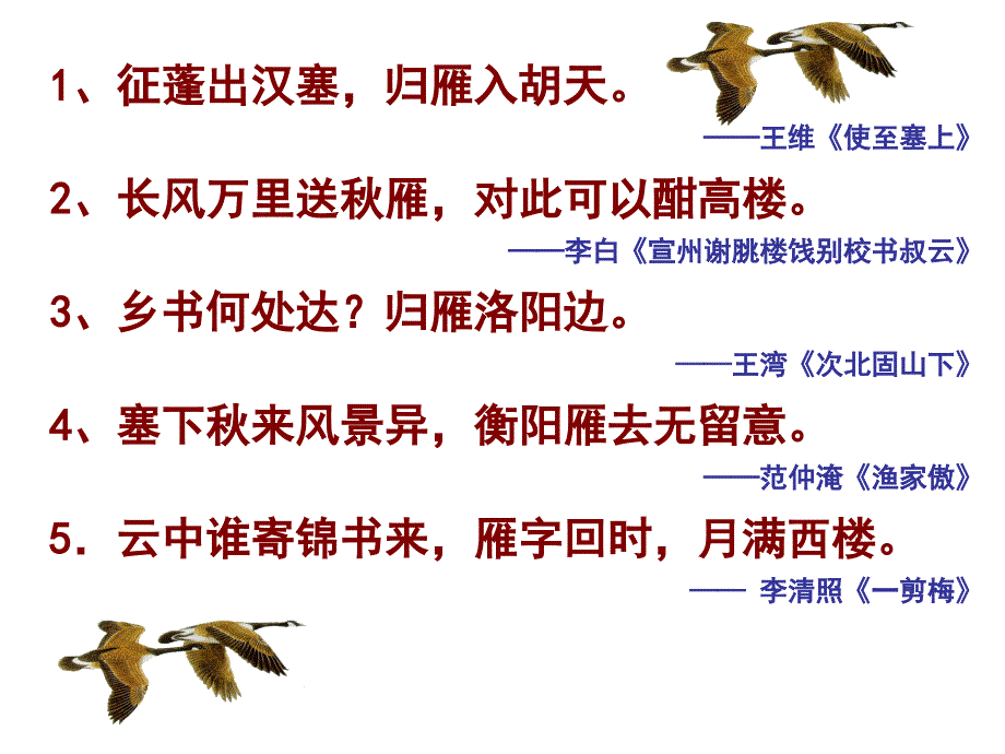 《大雁归来》优秀公开课ppt课件_第1页