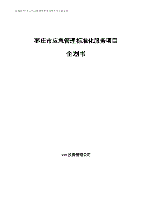 枣庄市应急管理标准化服务项目企划书（范文参考）