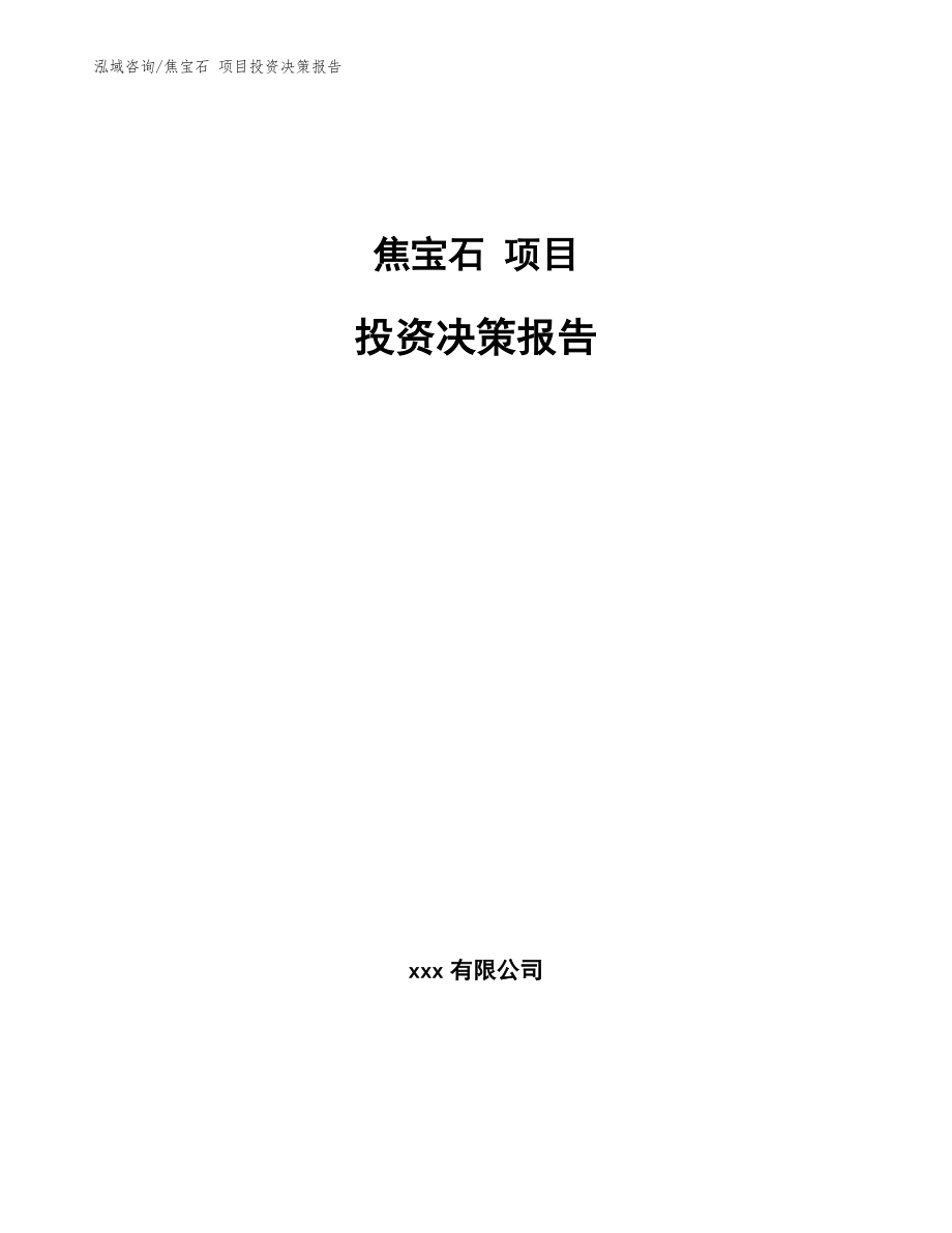 焦寶石 項目投資決策報告（參考模板）_第1頁