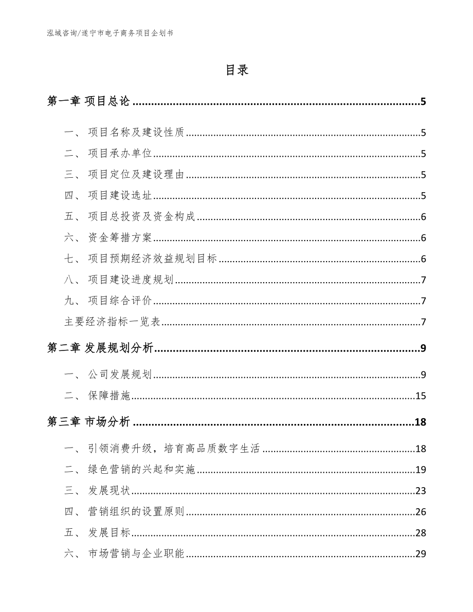 遂宁市电子商务项目企划书范文_第1页