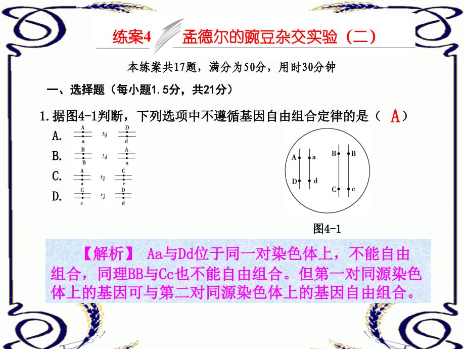 练案4 孟德尔的豌豆杂交实验(二)_第1页