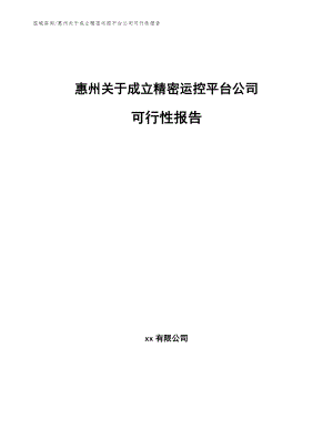 惠州关于成立精密运控平台公司可行性报告_模板