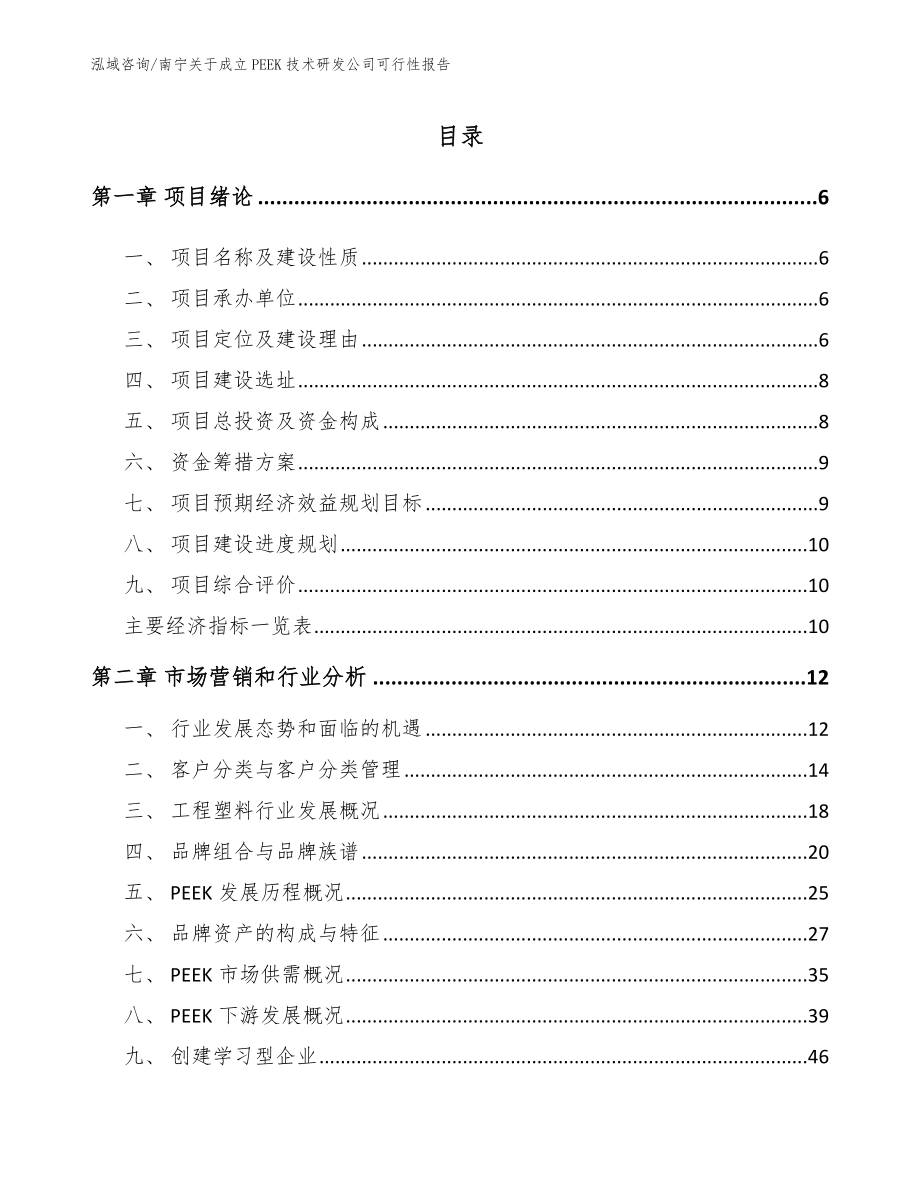 南宁关于成立PEEK技术研发公司可行性报告模板范文_第1页
