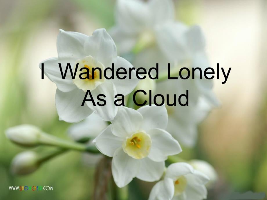 I__Wandered_Lonely_As_a_Cloud_第1页