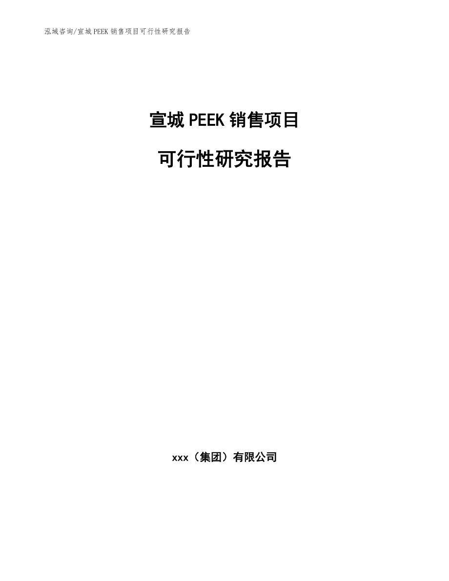 宣城PEEK销售项目可行性研究报告范文_第1页