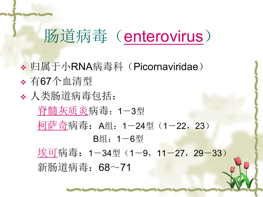 医学微生物学：肠道病毒（enterovirus）_第1页