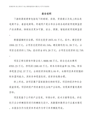 连云港关于成立视频监控技术服务公司可行性报告