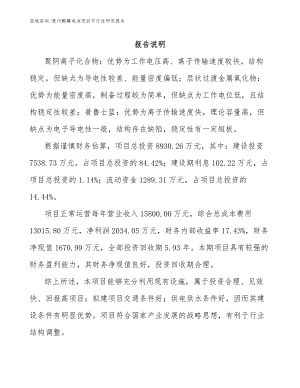 惠州麒麟电池项目可行性研究报告范文参考