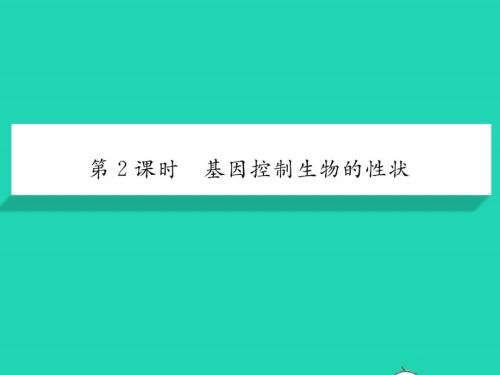 2022年八年級物理下冊第九章壓強(qiáng)第4節(jié)流體壓強(qiáng)與流速的關(guān)系習(xí)題課件新版新人教版