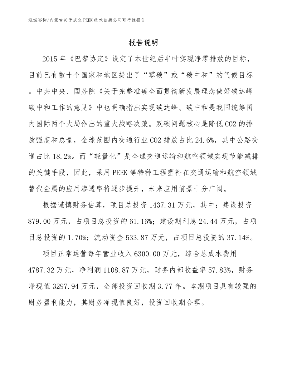 内蒙古关于成立PEEK技术创新公司可行性报告_模板范文_第1页
