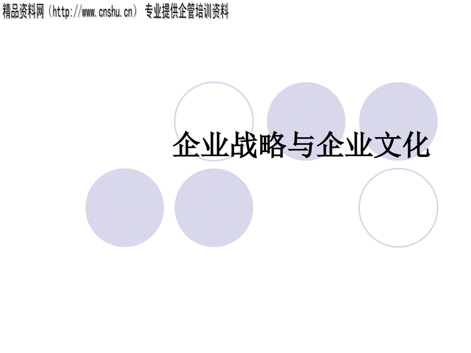 企业战略与企业文化讲义cvrn_第1页