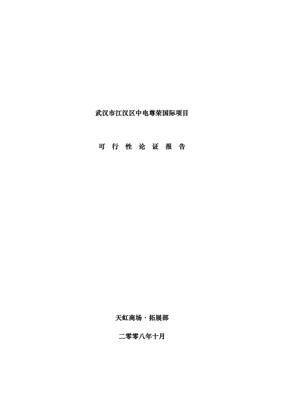 武汉某国际项目可行性论证报告_第1页