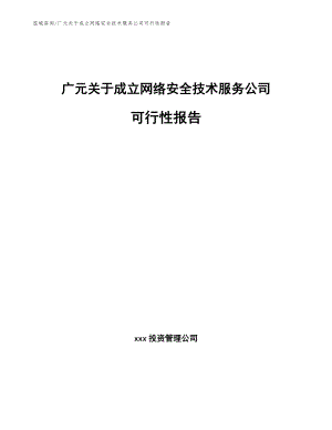 广元关于成立网络安全技术服务公司可行性报告_范文模板