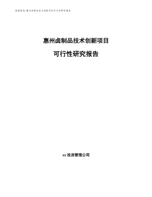惠州卤制品技术创新项目可行性研究报告_模板参考