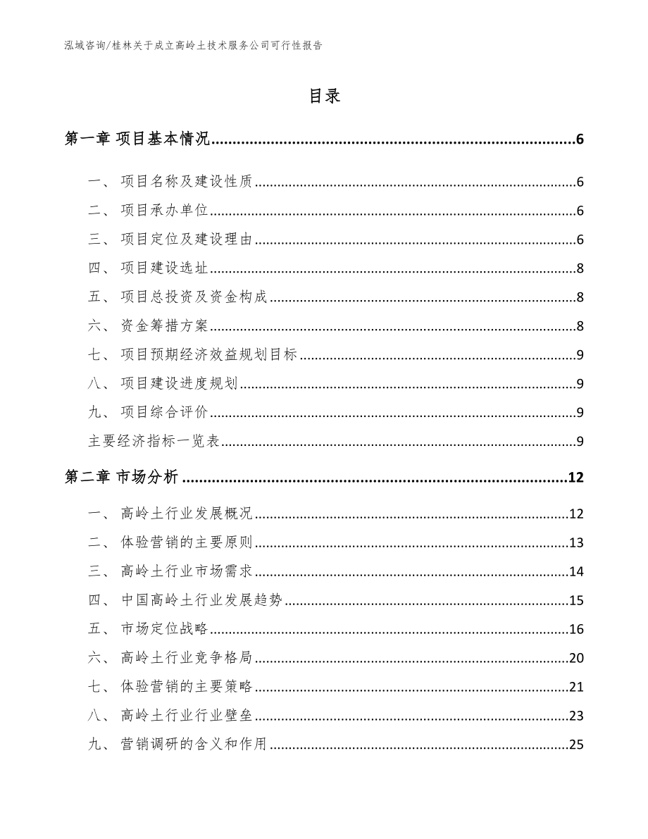 桂林关于成立高岭土技术服务公司可行性报告参考模板_第1页