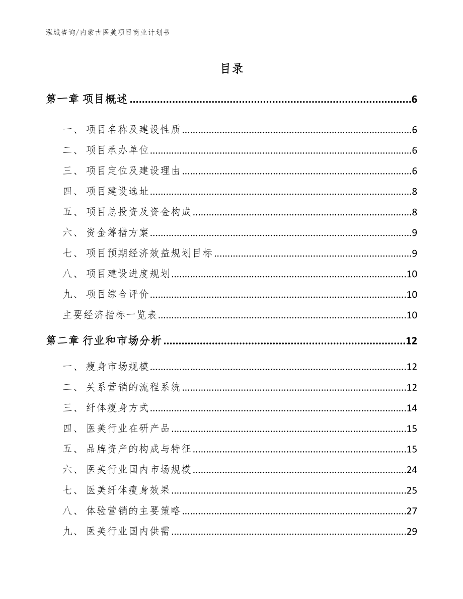 内蒙古医美项目商业计划书_第1页
