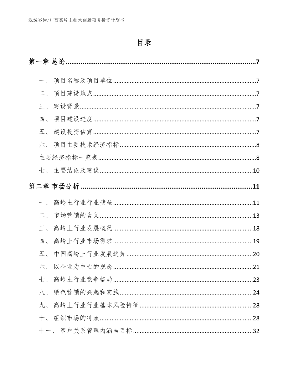 南宁高岭土技术创新项目投资计划书_范文_第1页