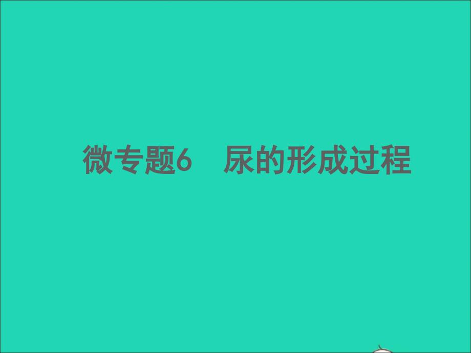 2022年中考生物微专题6尿的形成过程精讲本课件_第1页