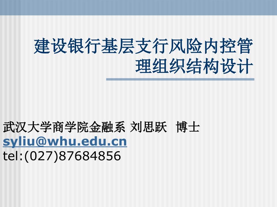 武汉大学金融系博士讲座专题3某银行基层支行风险内控管理组织(1)74024_第1页