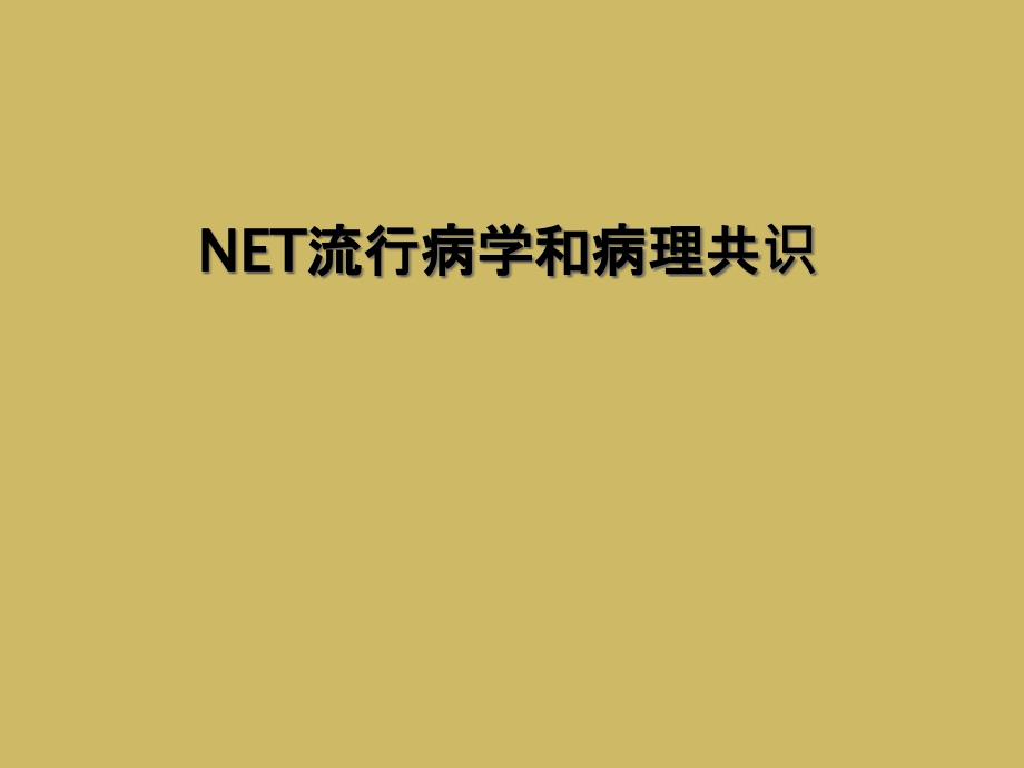 NET流行病学和病理共识课件_第1页