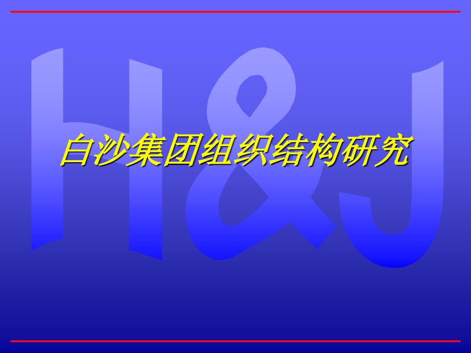 白沙集团组织结构研究分析46284_第1页