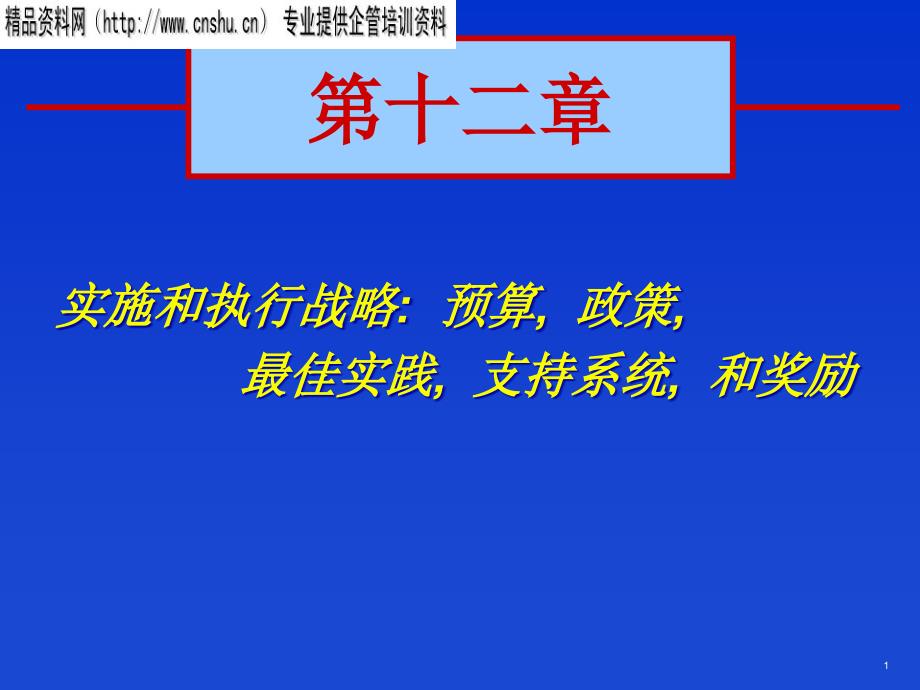 实施和执行战略(第十二章)dqcs_第1页