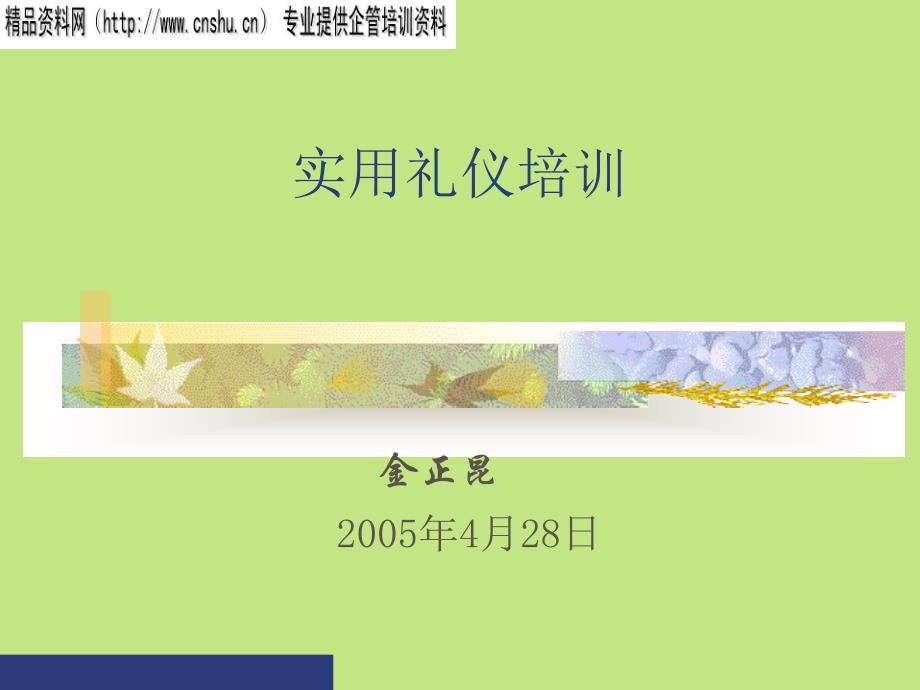 实用礼仪培训讲座dqjh_第1页