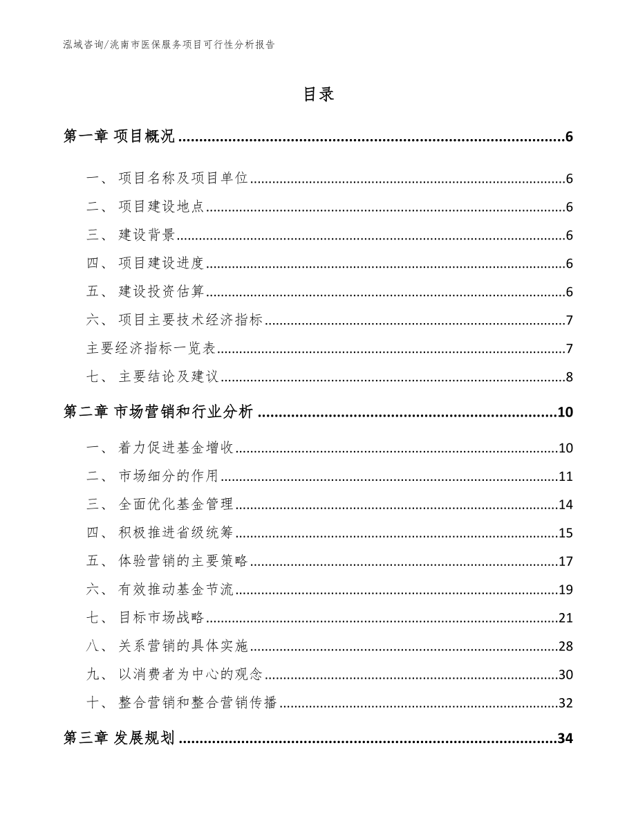 洮南市医保服务项目可行性分析报告（模板）_第1页