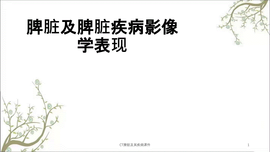 CT脾脏及其疾病课件_第1页