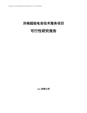 济南超级电容技术服务项目可行性研究报告（模板）