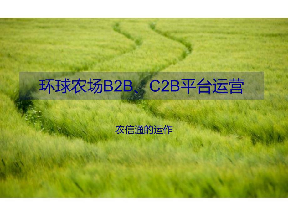 环球农场B2B、C2B运营56293_第1页