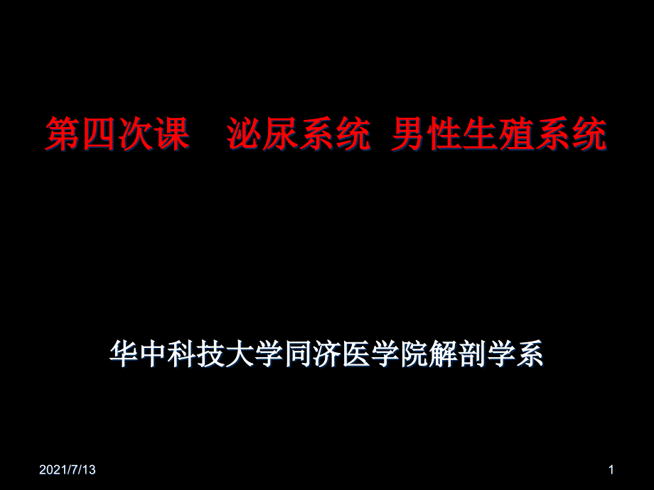 (教学培训课件）第四次课泌尿系统男_第1页