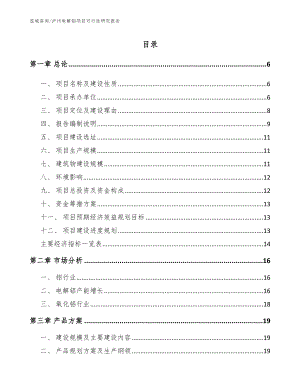 泸州电解铝项目可行性研究报告（参考范文）