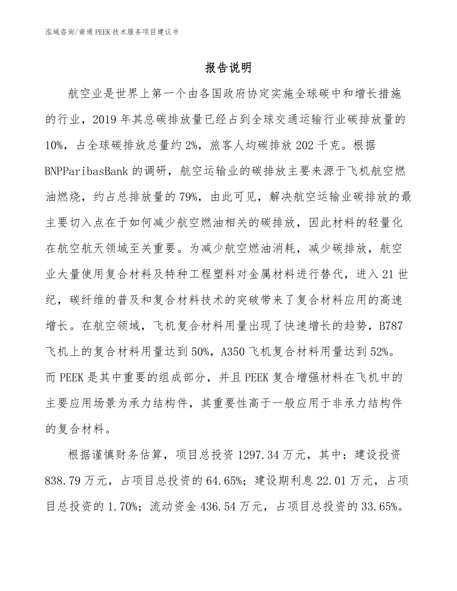南通PEEK技术服务项目建议书_模板_第1页