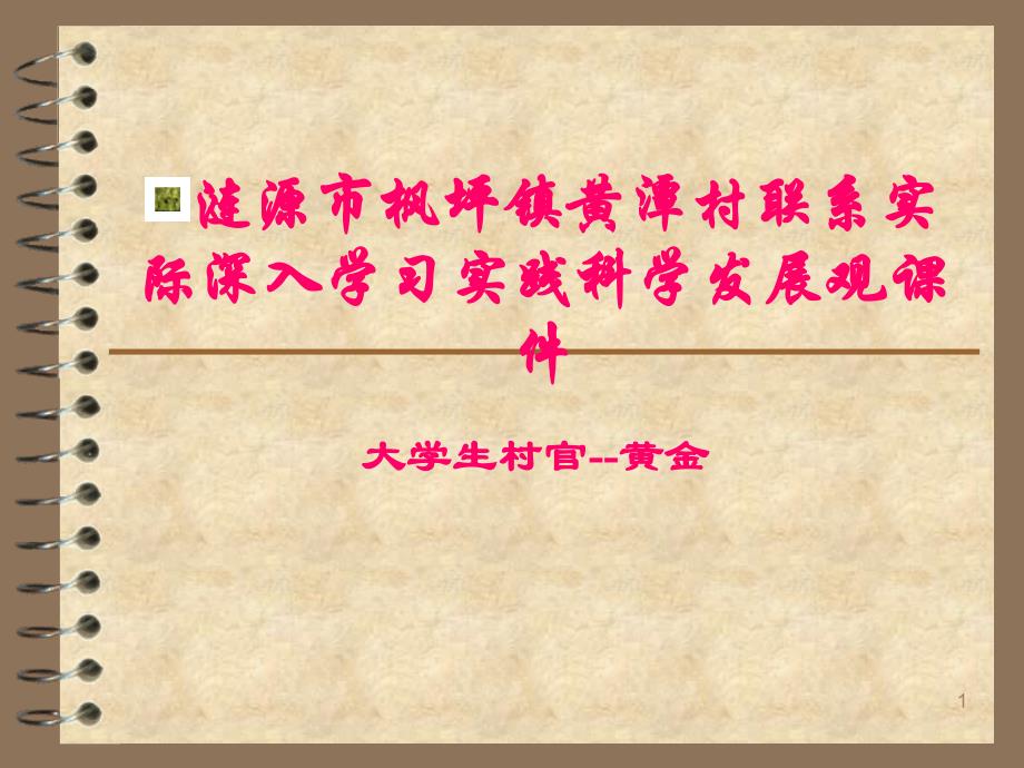 涟源市枫坪镇黄潭村联系实际深入学习实践科学发展观课58638_第1页