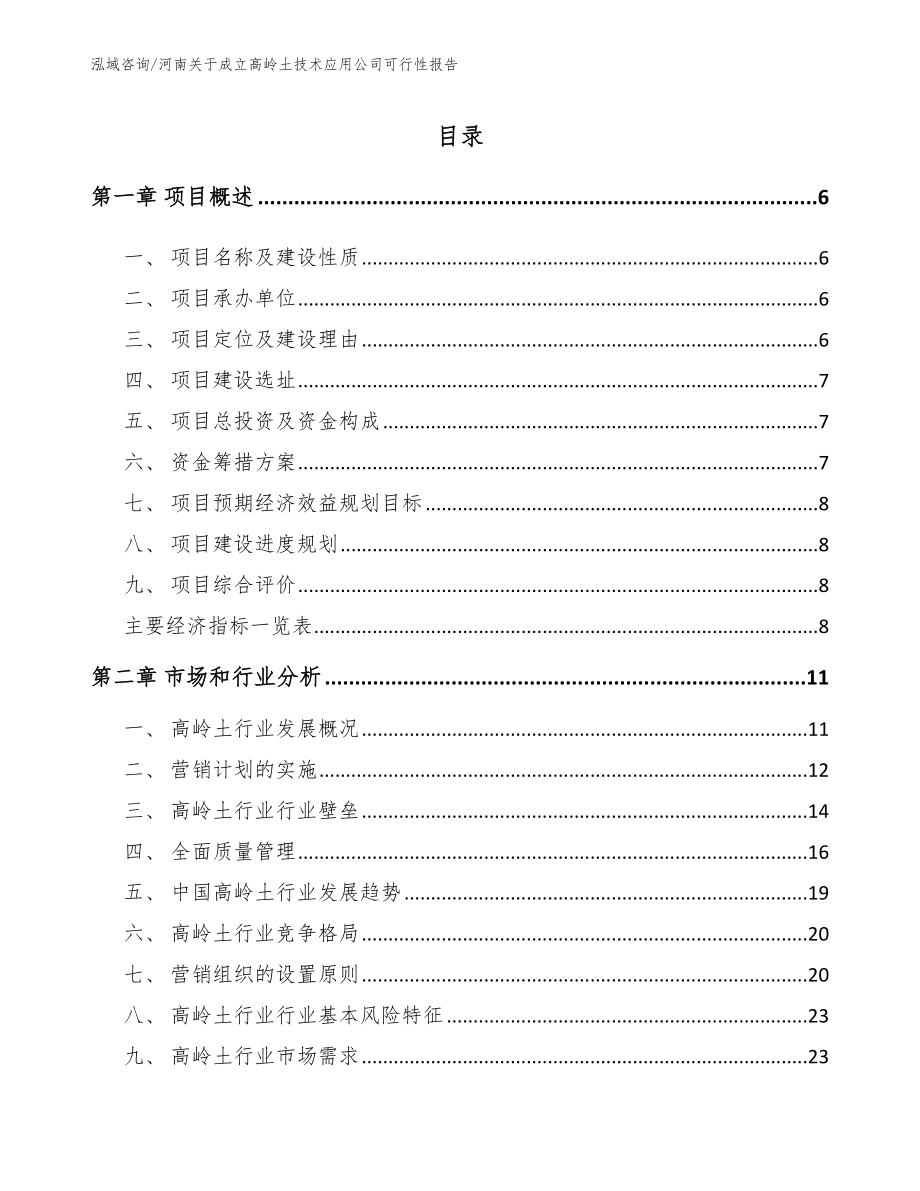 河南关于成立高岭土技术应用公司可行性报告【模板范本】_第1页