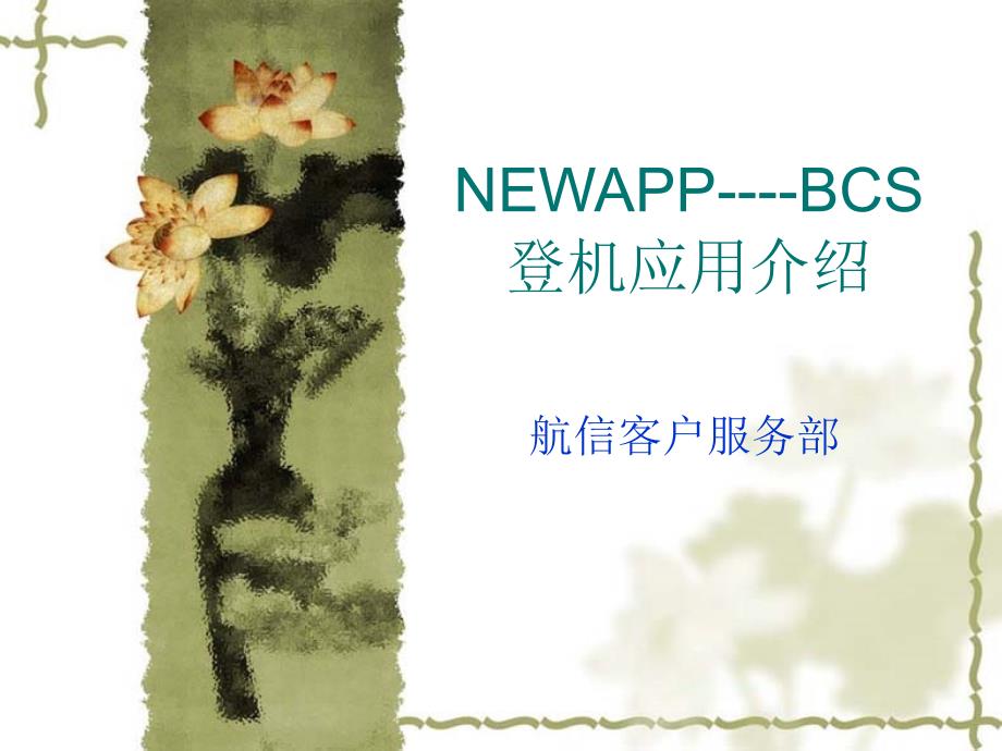 NEWAPP---BCS登机口应用介绍(200611ctu)_第1页