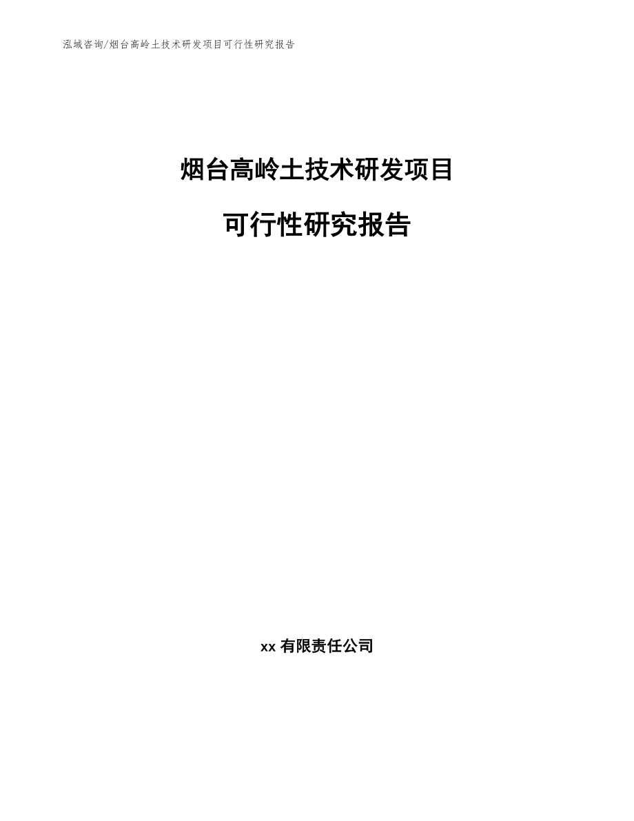 烟台高岭土技术研发项目可行性研究报告（范文）_第1页