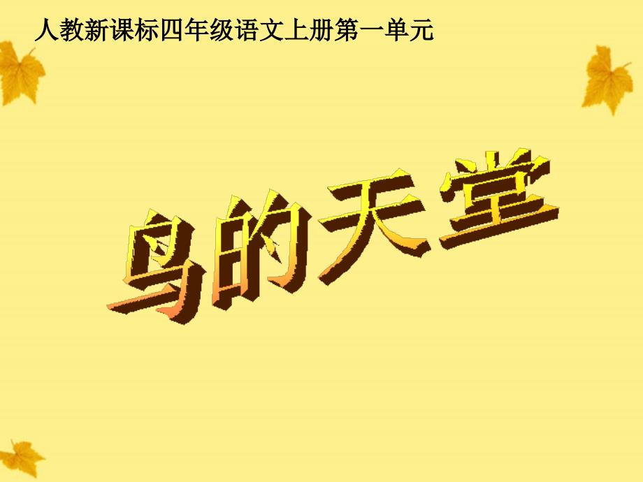 四年级语文上册 鸟的天堂 5课件 人教新课标版_第1页