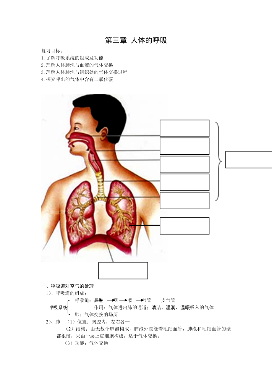 第三章人體的呼吸 (2)_第1頁