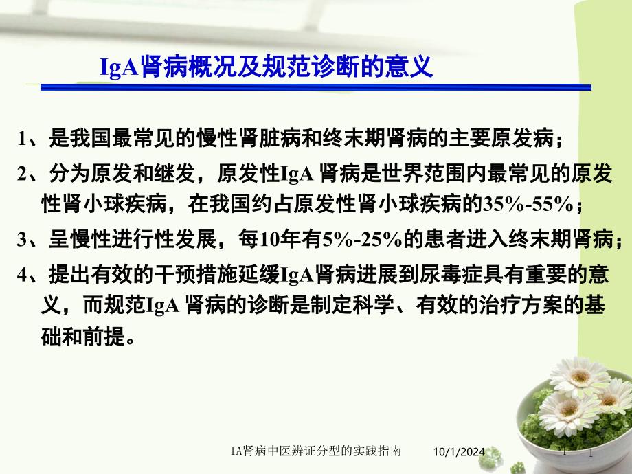 IA肾病中医辨证分型的实践指南培训课件_第1页