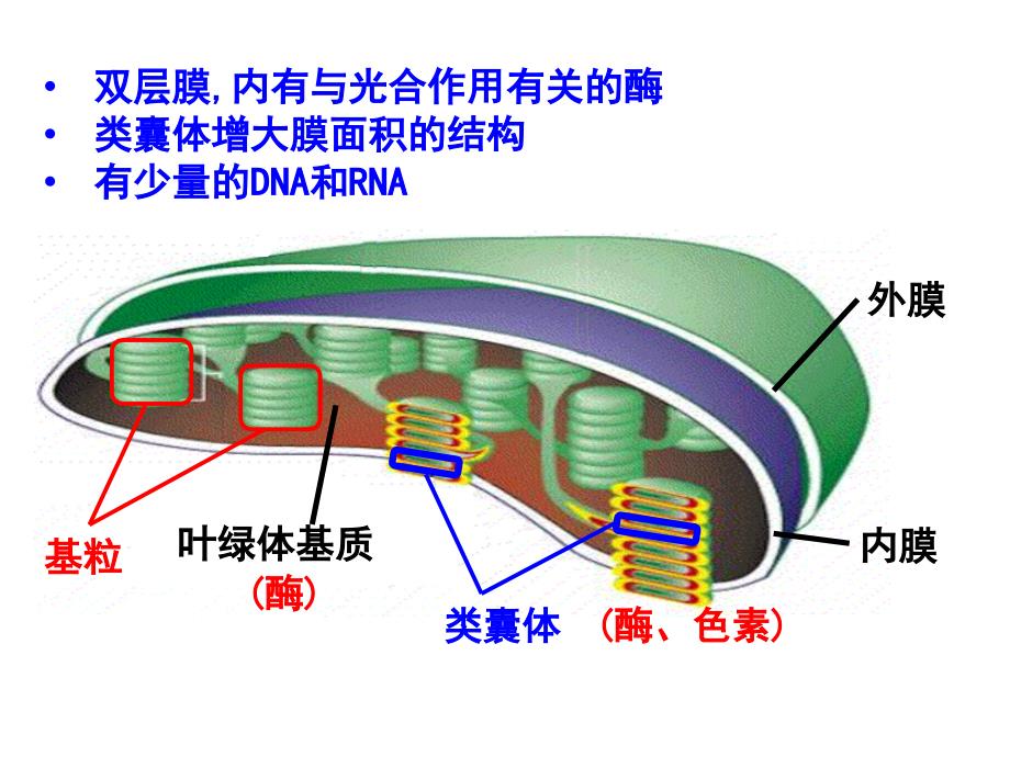 人教版生物新教材《光合作用的原理和应用》完美课件1_第1页