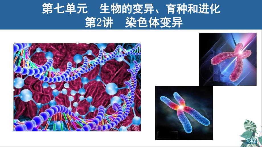 人教生物教材《染色体变异》公开课课件_第1页