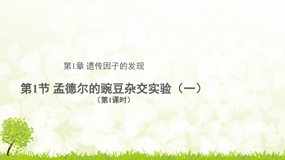 人教版生物必修二孟德尔的豌豆杂交实验一示范教学课件_第1页