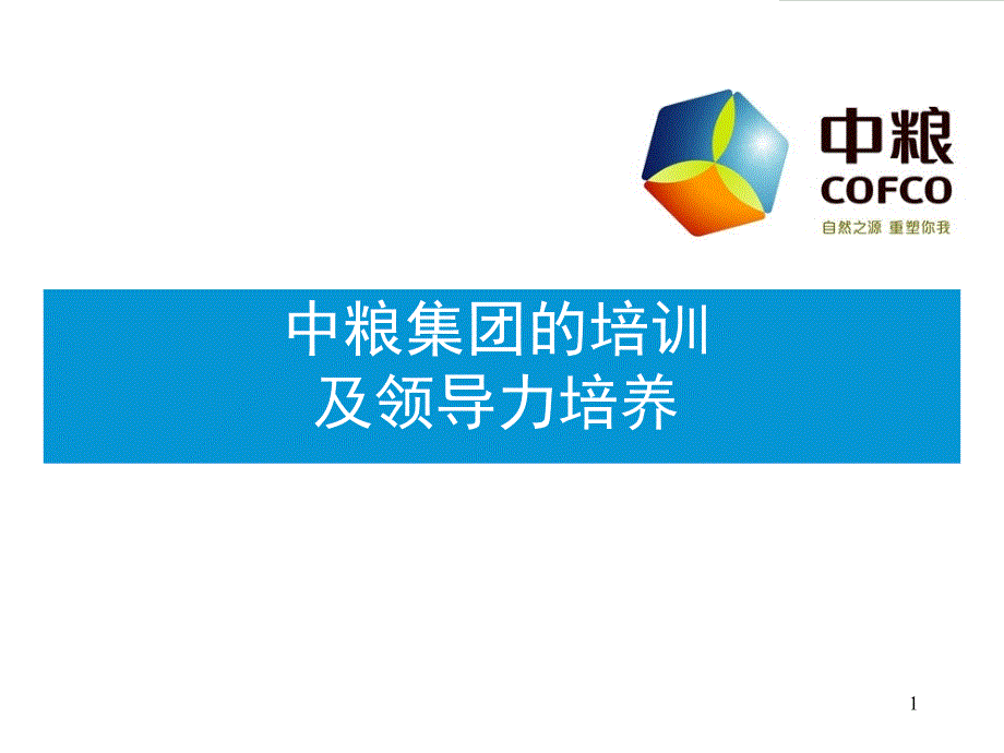 某集团的培训及领导力培养课件ckbx_第1页