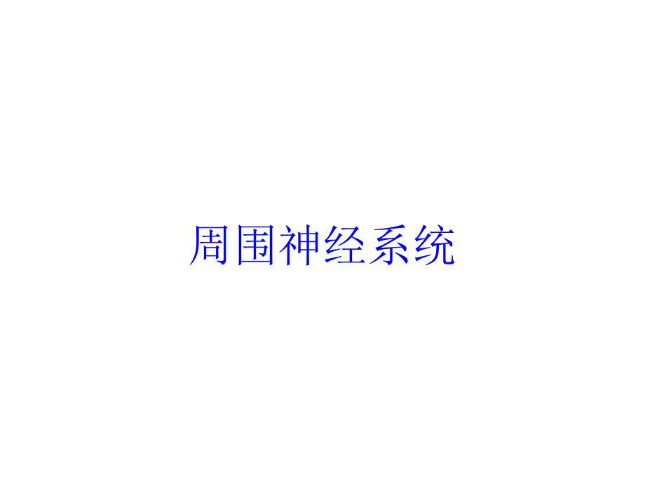 周围神经系统培训课件_第1页