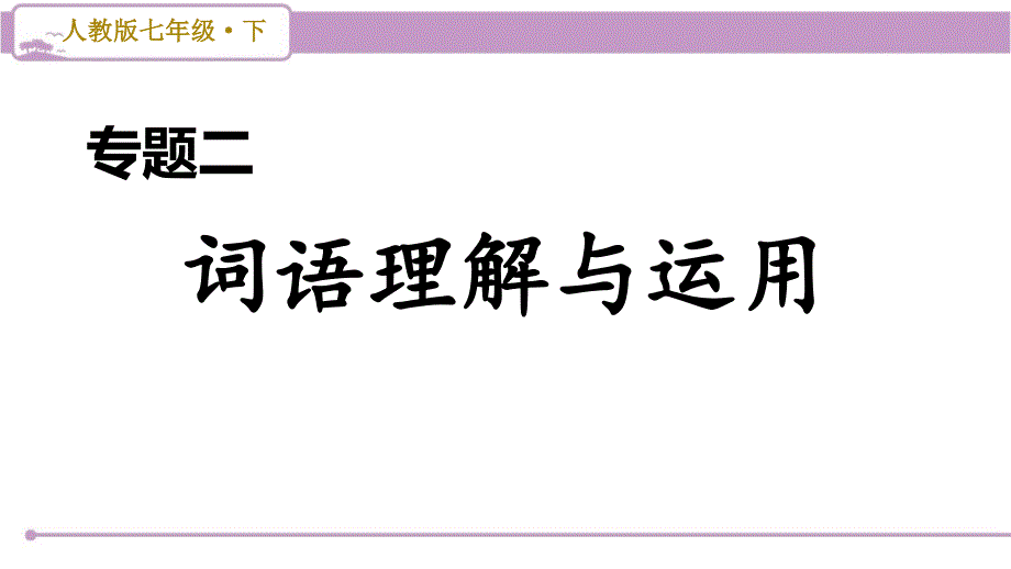 部编版初中语文七年级下册期末复习-专题二-词语理解与运用课件_第1页