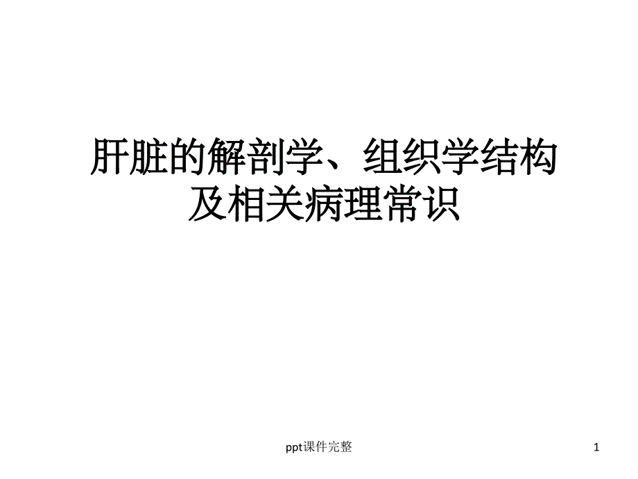 肝脏结构及相关病理常识课件_第1页