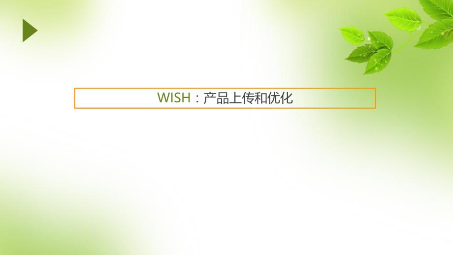 WISH产品上传和优化必读_第1页