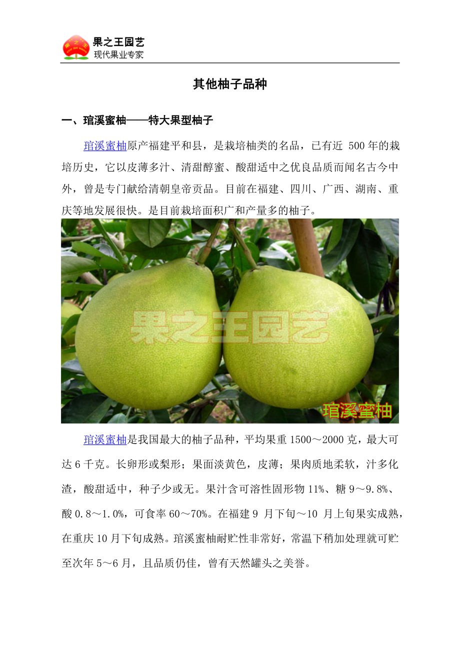 其他柚子品种(琯柚、超甜、三红)_第1页